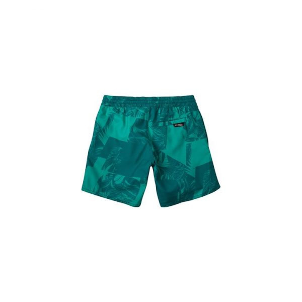 O’NEILL PB Cali Floral Μαγιό πράσινο